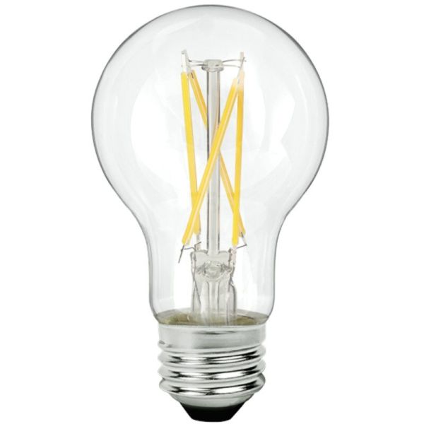 Filament A19 - 60w EarthBulb 6-pack